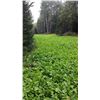 Image 2 : 2 - WISCONSIN FOOD PLOT PACKAGE