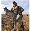 Image 2 : 3 - WEST TEXAS SANDHILL CRANE HUNT FOR 2 HUNTERS