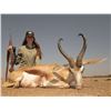 Image 3 : 5 - NAMIBIAN PLAINS GAME SAFARI FOR 1 HUNTER AND 1 NON-HUNTER
