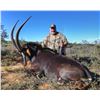 Image 2 : 8 - SOUTH AFRICAN SABLE SAFARI  FOR 1 HUNTER AND 1 NON-HUNTER