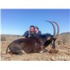 Image 5 : 8 - SOUTH AFRICAN SABLE SAFARI  FOR 1 HUNTER AND 1 NON-HUNTER