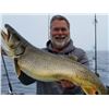 Image 7 : 9 - LAKE MICHIGAN FISHING CHARTER FOR 4 ANGLERS