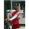 Image 9 : 9 - LAKE MICHIGAN FISHING CHARTER FOR 4 ANGLERS