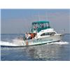 Image 1 : 10 - LAKE MICHIGAN FISHING CHARTER FOR 4 ANGLERS