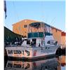 Image 2 : 10 - LAKE MICHIGAN FISHING CHARTER FOR 4 ANGLERS