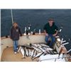 Image 6 : 10 - LAKE MICHIGAN FISHING CHARTER FOR 4 ANGLERS