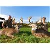 Image 3 : 12 - OHIO TROPHY WHITETAIL HUNT FOR 2 HUNTERS