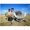 Image 4 : 18 - NAMIBIAN PLAINS GAME SAFARI FOR 2 HUNTERS AND 2 NON-HUNTERS