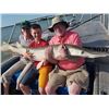 Image 2 : 19 - TROPHY ALLIGATOR GAR BOWFISHING or ROD & REEL FOR 2 ANGLERS