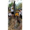 Image 3 : 19 - TROPHY ALLIGATOR GAR BOWFISHING or ROD & REEL FOR 2 ANGLERS
