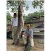 Image 7 : 19 - TROPHY ALLIGATOR GAR BOWFISHING or ROD & REEL FOR 2 ANGLERS