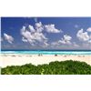 Image 5 : 34 - CARIBBEAN VACATION PACKAGE FOR 2