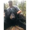 Image 4 : 39 - MINNESOTA TROPHY BLACK BEAR HUNT FOR 1 HUNTER