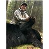 Image 8 : 39 - MINNESOTA TROPHY BLACK BEAR HUNT FOR 1 HUNTER
