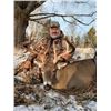 Image 1 : 42 - WISCONSIN WHITETAIL DEER HUNT FOR 1 HUNTER AND 1 NON-HUNTER