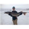 Image 2 : 43 - NORTH DAKOTA SPEAR FISHING ADVENTURE FOR 2 ANGLERS