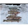 Image 6 : 43 - NORTH DAKOTA SPEAR FISHING ADVENTURE FOR 2 ANGLERS