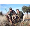 Image 2 : 11 - SPANISH BIG GAME HUNT FOR 1 HUNTER