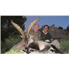 Image 4 : 11 - SPANISH BIG GAME HUNT FOR 1 HUNTER