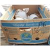 Image 1 : Box of Light Shades