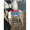 Image 4 : CAGE W/ 2 CHICKEN WATER FEEDERS/TANK