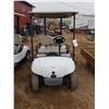 Image 1 : 2010 Yamaha YDRAX Golf Cart