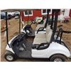 Image 2 : 2010 Yamaha YDRAX Golf Cart