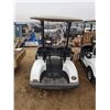 Image 3 : 2010 Yamaha YDRAX Golf Cart