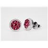 Image 1 : Effy "Ruby Royale" earrings