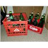 129  15 POP BOTTLES W/ 3 FULL CANADA DRY (PACHALS BEVERAGES YORKTON, SK) NU GRAPE, COCACOLA, PEPSI)