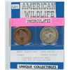 Image 1 : American Wildlife Medals - Great Horned Owl and Jack Rabbit