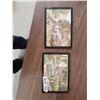 Image 1 : 2 Framed Pictures