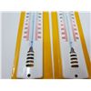 Image 3 : 2 West Germany thermometers