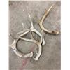 Image 2 : 4 Deer Sheds
