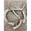 Image 3 : 4 Deer Sheds