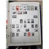Image 5 : Lot Stamp Album & Various World Stamps