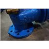 Image 4 : 2 large blue valves