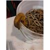 Image 3 : PAIL OF METAL CHAIN AND HOOKS