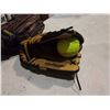 Image 3 : 2 WILSON BASEBALL GLOVES