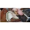 Image 2 : LOT OF LINENS, SHOES MENS AND WOMENS, HEART PILLOW, ETC