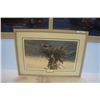Image 1 : OSPREY BY LISSA CALVERT EAGLE PRINT FRAMED