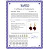 Image 2 : Genuine 30.5 ctw Ruby Earrings 14KT Yellow Gold - REF-44T4A