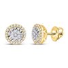 Image 1 : 1/4 CTW Womens Round Diamond Cluster Earrings 14kt Yellow Gold - REF-28W5H