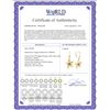 Image 2 : Genuine 0.20 CTW Sapphire Earrings 14KT Yellow Gold - REF-66R5P