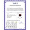 Image 2 : Genuine 4.5 ctw Garnet Ring 14KT White Gold - REF-37A8K