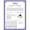 Image 2 : Genuine 1.51 ctw Amethyst & Diamond Ring 14KT Yellow Gold - REF-51V4W