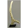 Image 1 : Unidentified Inuit Artist    