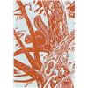 Image 1 : Illingworth Holey Kerr    