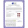 Image 2 : Genuine 10.10 ctw Ruby & Pearl Earrings 14KT Rose Gold - REF-55F3Z