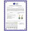 Image 2 : Genuine 1.10 ctw Blue Topaz Earrings 14KT Yellow Gold - REF-37X7M